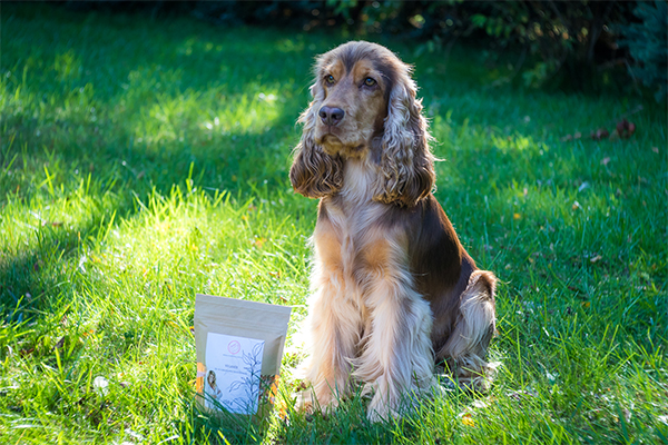 Biofűszer Kft. csapata
