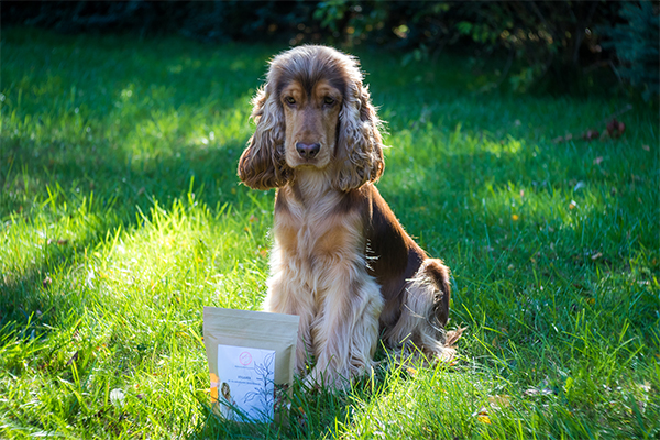 Biofűszer Kft. csapata