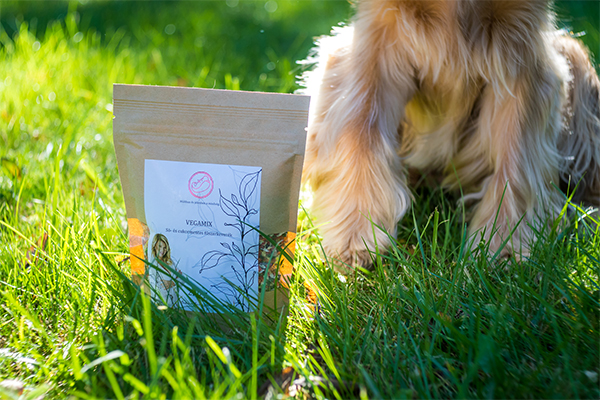 Biofűszer Kft. csapata