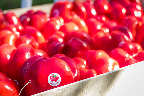 Biofűszer Kft. csapata