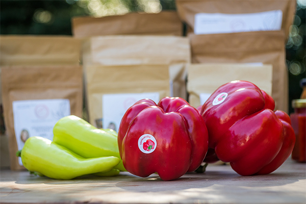 Biofűszer Kft. csapata