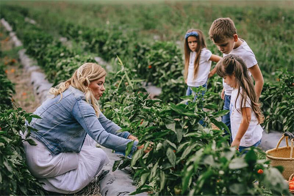 Biofűszer Kft. csapata