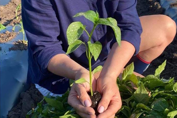 Biofűszer Kft. csapata