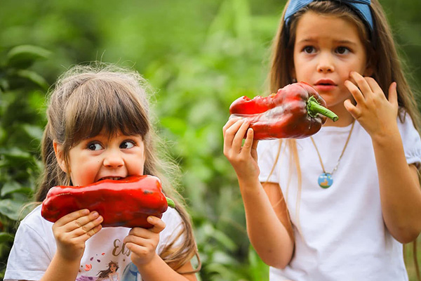 Biofűszer Kft. csapata