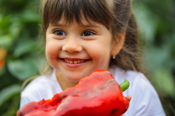 Biofűszer Kft. csapata